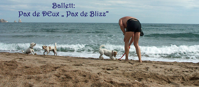 Ballett "Pax de Blizzzz" oder "Blizzards-Mambo" - bitte clicken!