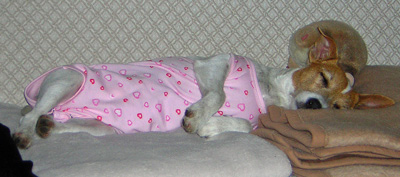 ein Schlafanzug in rosa mit Herzchen....